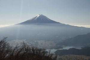 Tokio: prywatna wycieczka na górę Fuji i do Hakone z angielskojęzycznym kierowcą