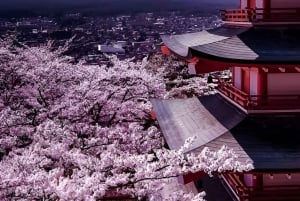 Vanuit Tokio: Fuji Berg Privé Dagtrip met chauffeur