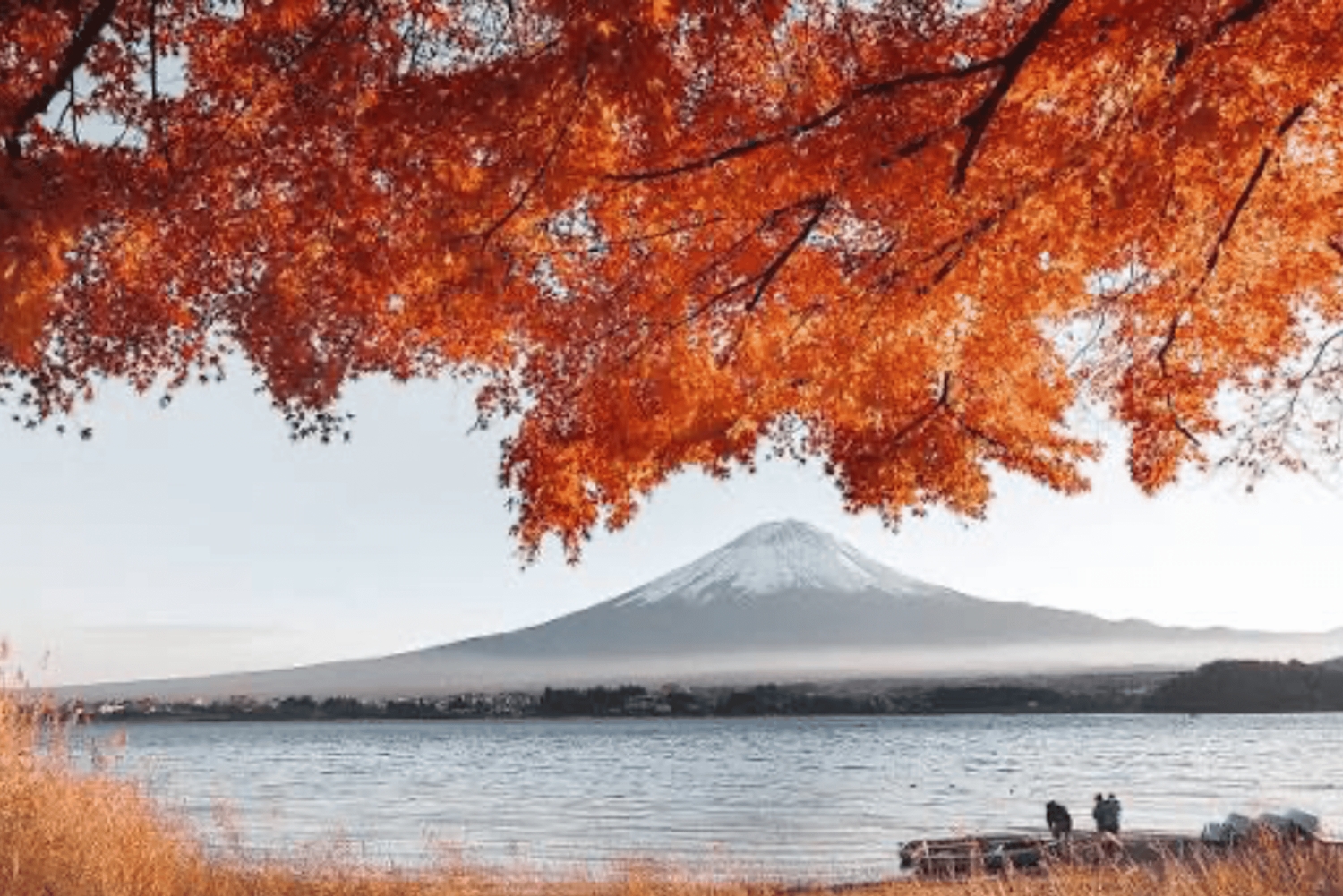 Ab Tokio: Ganztägige, individuelle und private Tour zum Berg Fuji