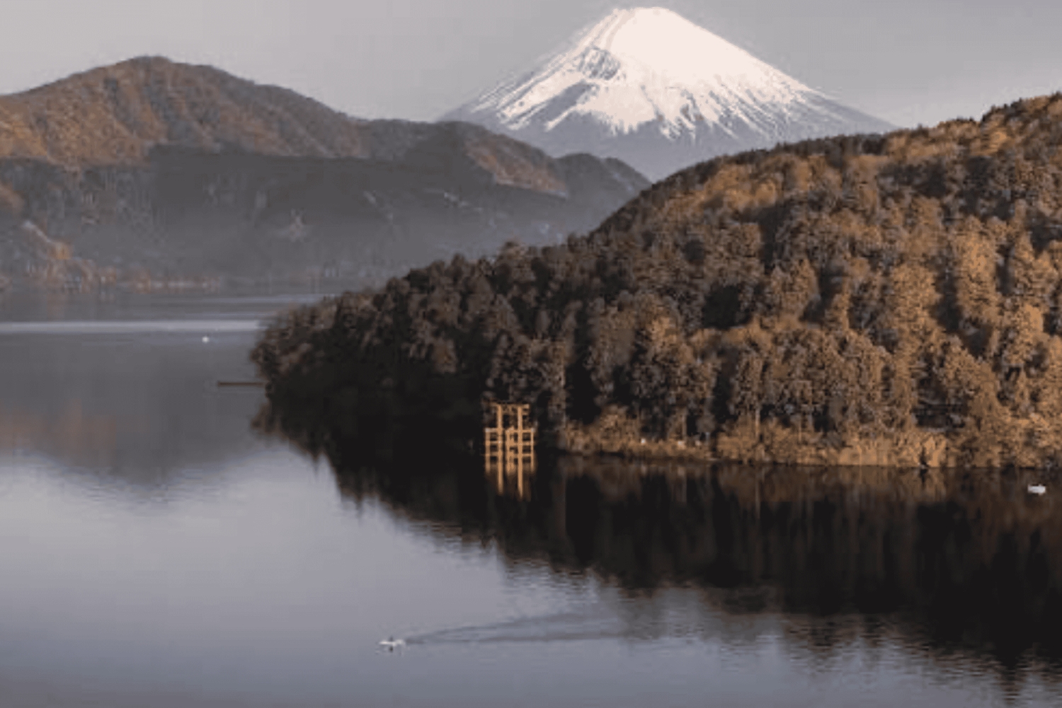 Ab Tokio: Ganztägige, individuelle und private Tour zum Berg Fuji