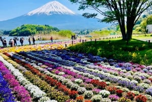 東京発：富士山1日プライベートツアー（カスタマイズ可）