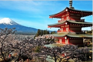 東京発：富士山1日プライベートツアー（カスタマイズ可）