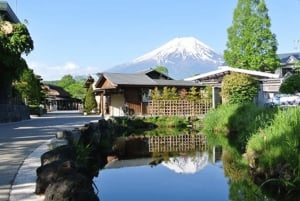 東京発：富士山1日プライベートツアー（カスタマイズ可）