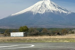 東京発：富士山1日プライベートツアー（カスタマイズ可）