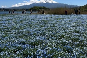 東京発：富士山1日プライベートツアー（カスタマイズ可）