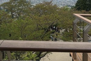 東京発：富士山1日プライベートツアー（カスタマイズ可）