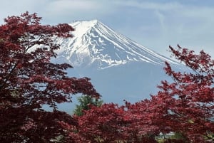 東京発：富士山1日プライベートツアー（カスタマイズ可）