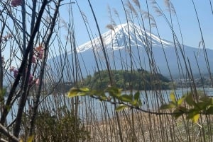東京発：富士山1日プライベートツアー（カスタマイズ可）