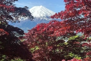 東京発：富士山1日プライベートツアー（カスタマイズ可）