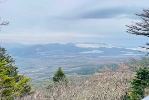 東京発：富士山1日プライベートツアー（カスタマイズ可）