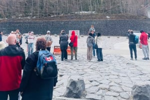 東京発：富士山1日プライベートツアー（カスタマイズ可）