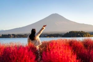 Da Tokyo: tour privato personalizzabile di un giorno sul Monte Fuji