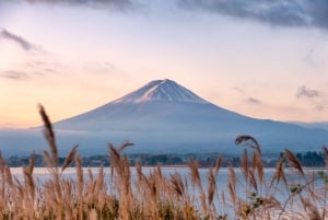 Da Tokyo: tour privato personalizzabile di un giorno sul Monte Fuji