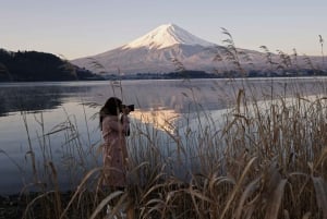 Da Tokyo: tour privato personalizzabile di un giorno sul Monte Fuji