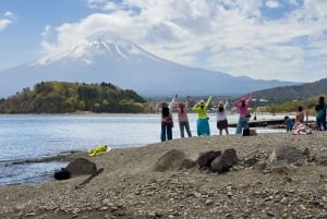Da Tokyo: tour privato personalizzabile di un giorno sul Monte Fuji