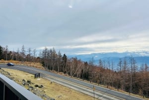 Da Tokyo: tour privato personalizzabile di un giorno sul Monte Fuji