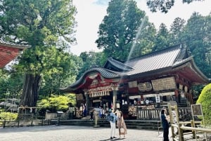 Da Tokyo: tour privato personalizzabile di un giorno sul Monte Fuji