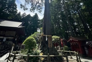 Da Tokyo: tour privato personalizzabile di un giorno sul Monte Fuji