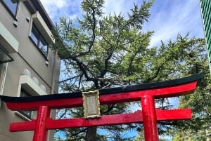 Da Tokyo: tour privato personalizzabile di un giorno sul Monte Fuji