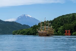 Da Tokyo: tour privato personalizzabile di un giorno sul Monte Fuji