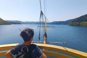 Da Tokyo: tour privato personalizzabile di un giorno sul Monte Fuji