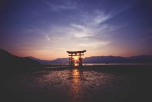 Da Tokyo: tour privato personalizzabile di un giorno sul Monte Fuji