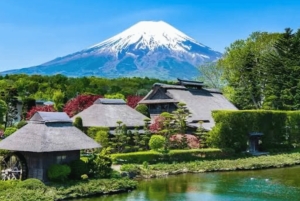 Ab Tokio: Ganztägige, individuelle und private Tour zum Berg Fuji