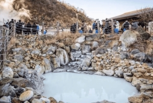 Ab Tokio: Ganztägige, individuelle und private Tour zum Berg Fuji