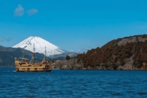 Ab Tokio: Ganztägige, individuelle und private Tour zum Berg Fuji