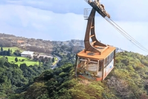 Ab Tokio: Ganztägige, individuelle und private Tour zum Berg Fuji