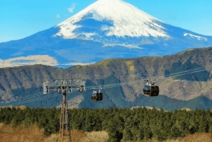 Ab Tokio: Ganztägige, individuelle und private Tour zum Berg Fuji
