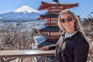 Ab Tokio: Ganztägige, individuelle und private Tour zum Berg Fuji