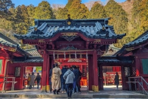 Ab Tokio: Ganztägige, individuelle und private Tour zum Berg Fuji