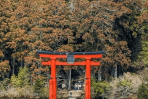 Ab Tokio: Ganztägige, individuelle und private Tour zum Berg Fuji