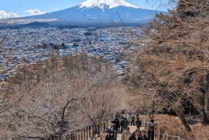 Ab Tokio: Ganztägige, individuelle und private Tour zum Berg Fuji