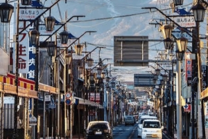 Ab Tokio: Ganztägige, individuelle und private Tour zum Berg Fuji