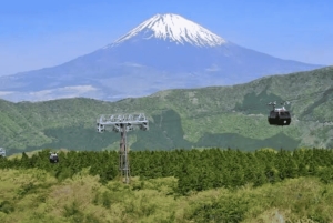 Ab Tokio: Ganztägige, individuelle und private Tour zum Berg Fuji