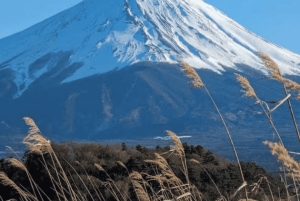 Ab Tokio: Ganztägige, individuelle und private Tour zum Berg Fuji