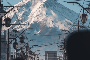 Ab Tokio: Ganztägige, individuelle und private Tour zum Berg Fuji