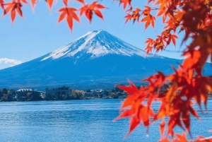 Ab Tokio: Ganztägige, individuelle und private Tour zum Berg Fuji