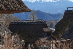 Ab Tokio: Ganztägige, individuelle und private Tour zum Berg Fuji