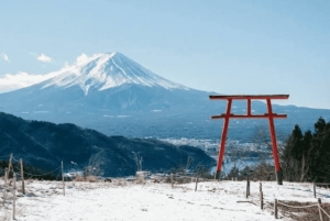 Ab Tokio: Ganztägige, individuelle und private Tour zum Berg Fuji