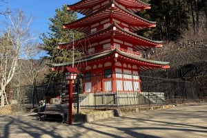 Fra Tokyo: Fuji-fjellet heldags privat tilpasset tur