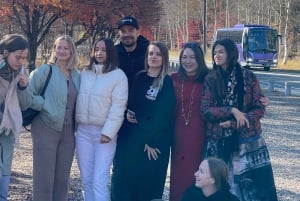 Fra Tokyo: Fuji-fjellet heldags privat tilpasset tur