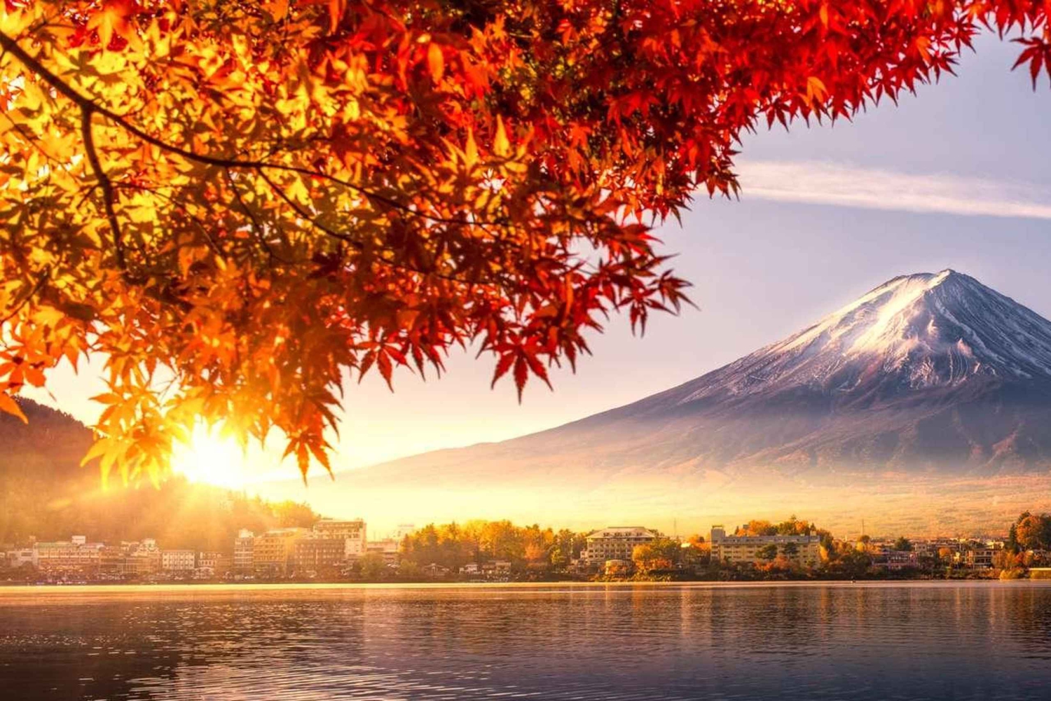 Из Токио: индивидуальная однодневная экскурсия на гору Фудзи