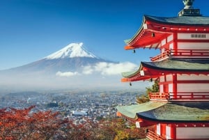 From Tokyo:Mount Fuji Full Day Customized Private Tour