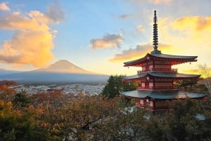 From Tokyo:Mount Fuji Full Day Customized Private Tour