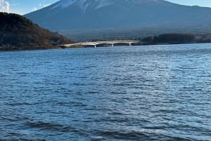 From Tokyo:Mount Fuji Full Day Customized Private Tour