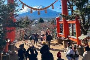 From Tokyo:Mount Fuji Full Day Customized Private Tour