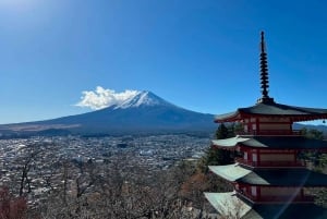 From Tokyo:Mount Fuji Full Day Customized Private Tour